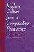 Modern Culture from a Comparative Perspective