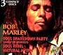 Bob Marley Soul Shakedown Party; Soul Rebel; Natural Mystic