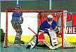 Official Pro Hockey Goal