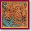Washington CityScarf
