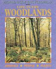Life in the Woodlands (World Book Ecology Series)
