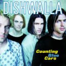 Counting Blue Cars