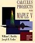 Calculus Projects with Maple V: A Tool, not an Oracle