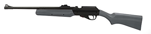 Gamo Outdoors 611163454 Cadet SP Youth Action Dual Fuel Airgun, .177 Caliber