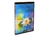 QuarkXPress English Version 6.5 - PC [Import]