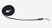 Coastal Pet Cotton Web Dog Leash Training Lead (Black, 15 ft. L x 5/8 inch W)