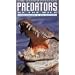 Predators of the Wild: Crocodiles & Alligators [VHS]