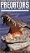 Search : Predators of the Wild: Crocodiles & Alligators [VHS]
