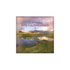 Song of the Irish Whistle 2