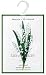 Lily of the Valley by Woods of Windsor Wardrobe Sachet
