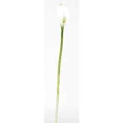 Calla Lilly Silk Flower - Color: Cream