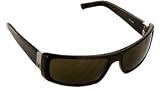 Dragon Tortoise Havana Sunlgasses w  Bronze Polairzed Lens by 