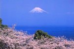 1000ピース 天空の富士(静岡)