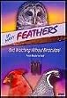 So Many Feathers: Bird Watching Without Binoculars