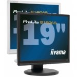 19" LCD/TFT 1280 x 1024 DVI - Black Bezel + Built-in Speakers (PLB1906S-B1A)