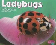 Ladybugs (Pebble Plus: Bugs, Bugs, Bugs)