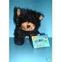 Lil Kinz Black Bear Small Ganz Webkinz