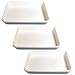 Cesco Plastic Print Developing Tray with Flat Bottom, 8 x 10 x 3 Deep, Set of Three Trays.