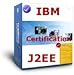 Book IBM J2EE Certification (Test 484) SOLUTION GUIDE (Our Solution Guide and material is better than Ten (10) Mock tests in exam simulators, With our Guid