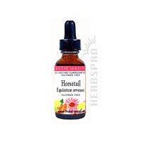 Eclectic Institute Inc Horsetail, 2 Oz with Alcohol