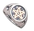 Wealth Talisman - Alchemy Gothic Pewter Ring