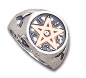 Wealth Talisman - Alchemy Gothic Pewter Ring