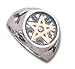 Wealth Talisman - Alchemy Gothic Pewter Ring