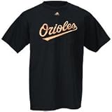 Baltimore Orioles MLB Practice V Short Sleeve Tee Shirt By Nike Team Sports (M=40)