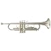 Musical Instruments : Blessing B127S Scholastic Trumpet