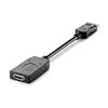 HP DisplayPort To HDMI Adapter