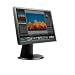 Lenovo TFT-Monitor ThinkVision LT2452p schwarz, DisplayPort, DVI-D, USB, Pivot Lenovo TFT-Monitor ThinkVision LT2452p schwarz, DisplayPort, DVI-D, USB, Pivot