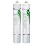 Everpure H-1200 Replacement Dual Cartridge