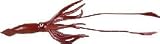 Safari: Giant Squid