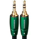 AUDIOQUEST - EVERGREEN MINI-TO-MINI 2.0M