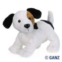 Webkinz Jack Russell