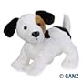 Webkinz Jack Russell