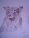 Dog 1, Drawing by Nga Vo, Original