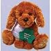 Shining Stars: St. Patricks Day Irish Setter