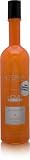 Alterna Enzymetherapy Hemp Shine Shampoo 10.1 oz