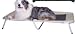 Its a Breeze Too Pet Cot 20inx32inx5in Khaki