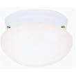 Westinghouse Light A 66611 Ceiling Fixture