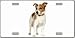 LP-2173 Jack Russell Terrier Dog Pet Novelty License Plates- Full Color Photography License Plates