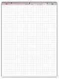 Lecturers Pad 27x34 1x1 Inch Grid *os1