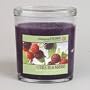 Colonial Candles Citrus Blackberry 22oz Retired
