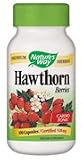 Hawthorn Berries