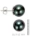 14k Gold,11.5-12mm Black Tahitian South Sea Pearl Stud Earring