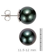 14k Gold,11.5-12mm Black Tahitian South Sea Pearl Stud Earring
