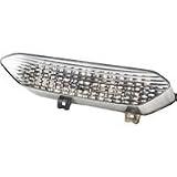 02-03 YAMAHA YZF-R1: RUMBLE CONCEPT INTEGRATED LED TAILLIGHT KIT - CLEAR by Rumble Concept
