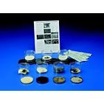 Mold Bread Study Kit