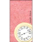 Susan Branch 2009-2010 2 Year Pocket Planner Calendar (3.6 x 6.5)